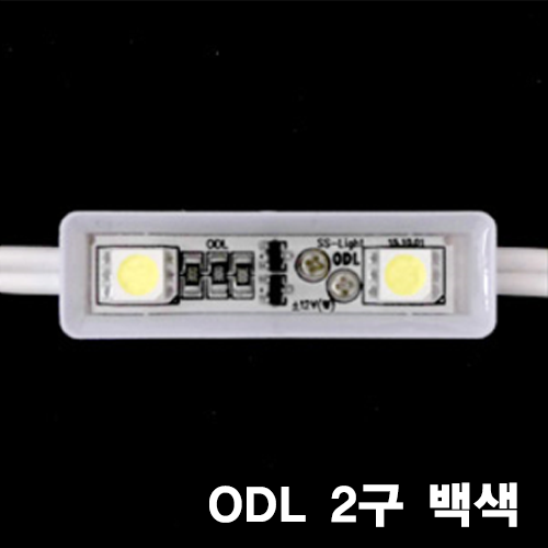 LED 2구 모듈 (12V) ODL