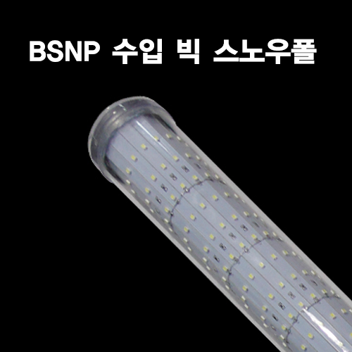 BSNP 수입 빅 스노우폴